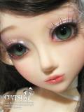 Chitsuki Head Normal Skin - Blank
