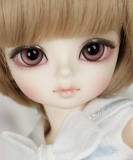 Honey Delf CHOCO