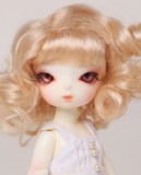 DZ Wig GW16-003 (5/5.5)